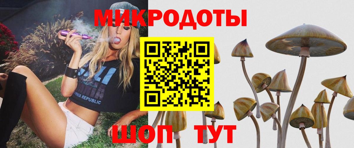 Галлюциногенные грибы прущие грибы  Вход с VPN  Алушта 